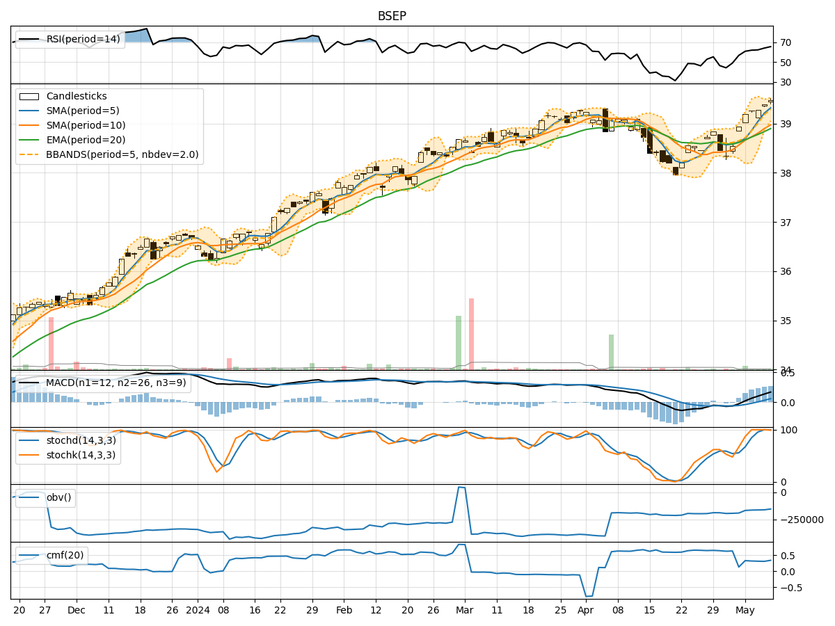 Technical Analysis of BSEP